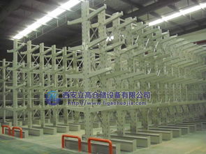 陜西西安倉儲(chǔ)貨架與懸臂貨架全解析 價(jià)格、型號(hào)規(guī)格及網(wǎng)絡(luò)資源概覽