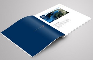 畫冊(cè)印刷設(shè)計(jì)的基本原則與圖文制作精要